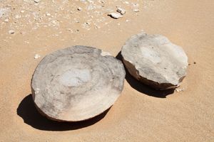 이집트 와디 알 바티치(멜론 계곡)산의 콘크리션