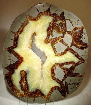 유타주 매디 크리크산의 거북이 등 껍질 모양의 돌