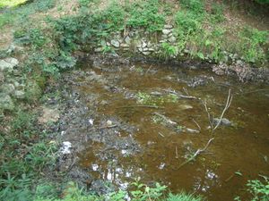 말 씻는 연못 터