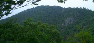 산노마루에서 오다케 성 방향을 촬영