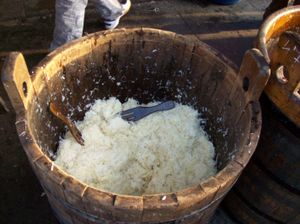 젖산 발효 후의 상태