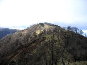 남쪽에서 바라본 단자와산