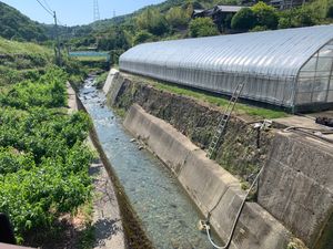 나쓰야케다니강