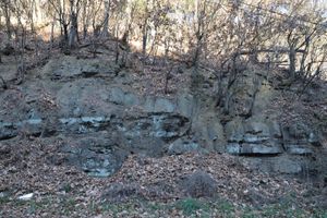 장수로 2491 동쪽