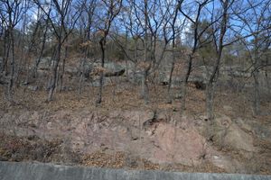 하산동층(아래)과 진주층(위)의 경계, 의성군 안평면 금곡리