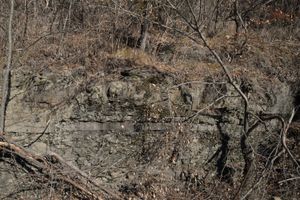 의성군 안평면 기도리 빗재못 기도길 도로변