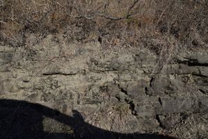 의성군 안평면 기도리 빗재못 기도길 도로변