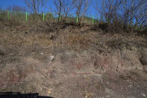 의성군 안평면 기도리 기도길 도로변