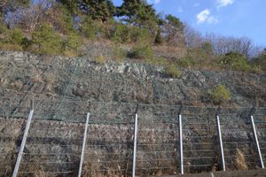 의성군 안평면 교안리 지방도 제912호선 안신로 도로변