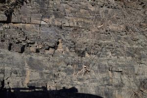 의성군 가음면 순호리 산성가음로 1769 입구의 점곡층