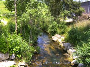 타반 옆 비르스강의 상류