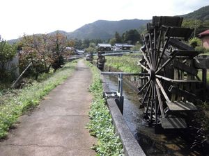 신노 수차의 마을(新野水車の里)