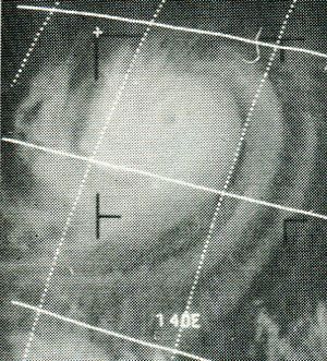 1968년 9월 1일의 웬디