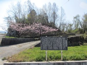 이타가쿠쓰카, 전체 모습(후에후키시 사카이가와정 이시바시 2438, 이타가쿠자카 교차로)