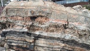 노두 뒤쪽의 건물은 카페솔(일광읍 일광로 582-23)