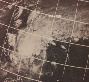 강한 열대 폭풍 로나