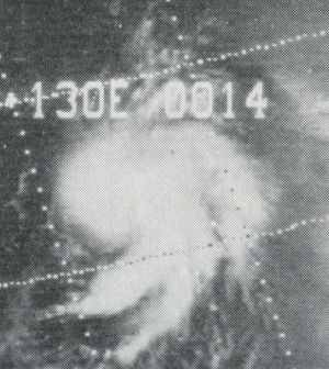 태풍 비올라의 위성 사진