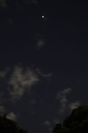 일본 도쿄 (오리온자리와 함께 본 광경)