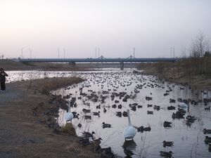 나가야마신카와 (국도 39호선 우시슈베츠대교와 JR 소야 본선 교량)