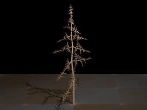 프랙탈 나무 예시 1