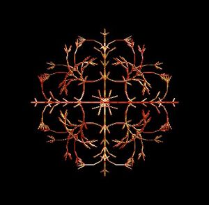 프랙탈 구조 예시 2