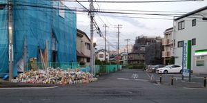 헌화 장소 (5월 30일 이른 아침)