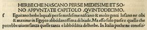 1476년 베네치아에서 출판된 플리니우스(Pliny the Elder)의 'in Fiorentina'(이탈리아어) 번역본에서 발췌한 니콜라 장송의 로마자체의 대문자