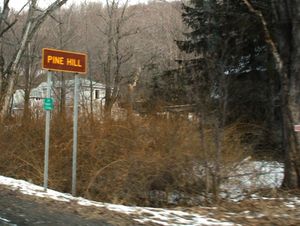 미국 뉴욕주 캐츠킬 공원 내 파인 힐 햄릿 표지판