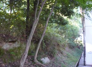 사진 왼쪽이 교사 부지 외곽. 단차가 보인다.