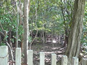 사호산(佐保山) 동릉 끝 부분. 혼마루의 일부로 추정된다.