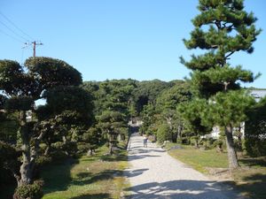 사호산(佐保山) 남릉