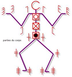 신체 부위 기호