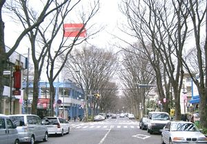 도키와다이라 느티나무 거리 (역 앞에서 남북으로 단지 길을 관통)