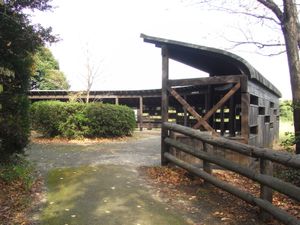 동 관찰 광장에 있는 관찰 벽. 곳곳에 망원경이 설치되어 있어 자유롭게 이용할 수 있다.