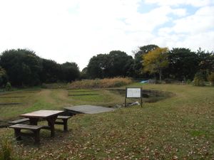 자연 생태원. 전원 풍경을 재현한 구역으로, 서담수지에서 개울이 흐른다.