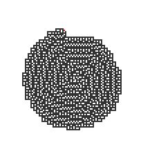 나선형 성장 패턴을 보이는 터마이트.