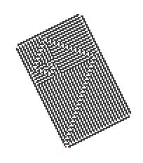 피보나치 수열과 유사한 나선형 구조를 만드는 터마이트.