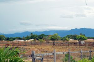 레템, 사바나 남쪽을 바라보며