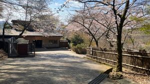 케이블 산조역 역사