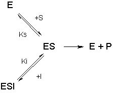 무경쟁적 저해 반응 기구