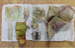 복장 유물(발원문, 약초, 오곡, 오향, 광물, 사리(진주), 진언 등)