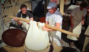 너도밤나무 원형으로 성형