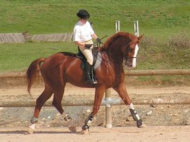 기수의 좌석은 체중 부조의 핵심이다.