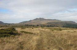 톨페노 브라슈니테, 우시테, 카멘 델 봉우리.