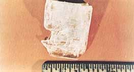 스카이랩에서 성장시킨 로셸염의 큰 결정