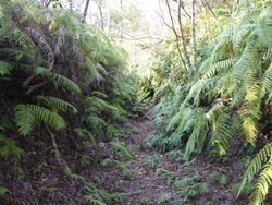 오구라마루 아래 빈 해자