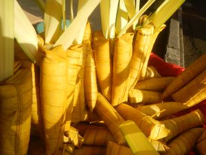 수만 사 이부스