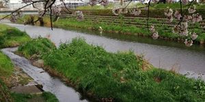 물은 노가와 강에서 끌어오고 있다(분류 후에 왼쪽 하단의 철망 부분으로 떨어진다)