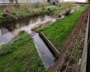 다시 노가와 강으로 되돌아간다.