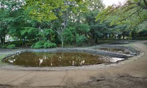 물이 채워진 논 (2023년 5월 중순)